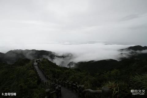 广西大明山国家级自然保护区旅游攻略 之 龙母恬睡