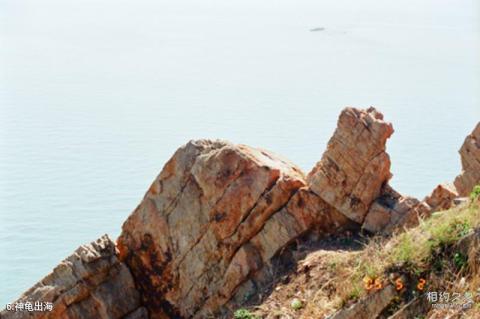 锦州笔架山旅游攻略 之 神龟出海