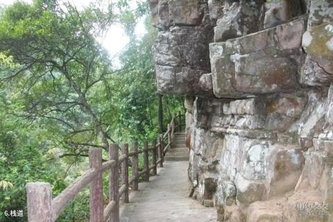 桂平龙潭国家森林公园旅游攻略 之 栈道