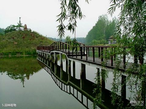 盈泰温泉度假村旅游攻略 之 园林植物 盈泰温泉度假村旅游攻略 之 园林植物