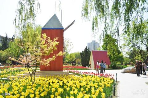 阜新塔子沟风景区旅游攻略 阜新塔子沟风景区旅游攻略