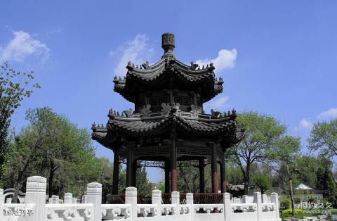 天津北宁公园旅游攻略 之 牡丹亭