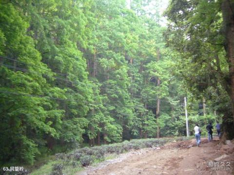杭州西湖风景名胜区旅游攻略 之 风篁岭