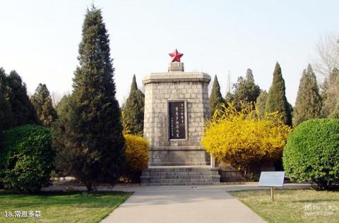 临沂华东革命烈士陵园旅游攻略 之 常恩多墓
