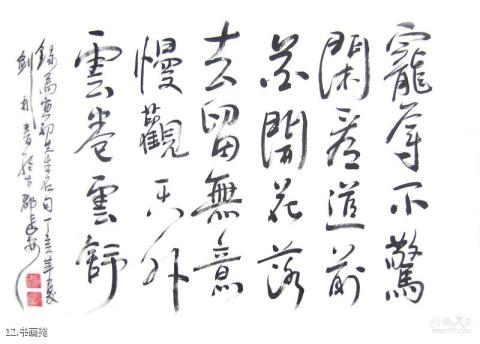 河南南街村旅游攻略 之 书画苑