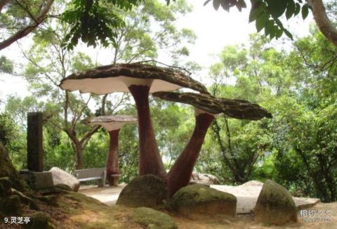 福建青芝山景区旅游攻略 之 灵芝亭