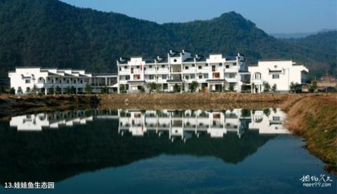 宜春三爪仑国家森林公园旅游攻略 之 娃娃鱼生态园 宜春三爪仑国家森林公园旅游攻略 之 娃娃鱼生态园