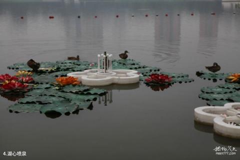 莲花池公园旅游攻略 之 湖心喷泉