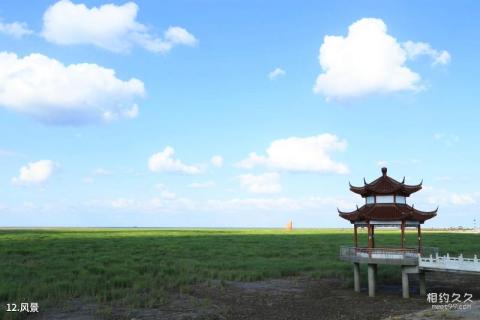 南通如东小洋口风景区旅游攻略 之 风景