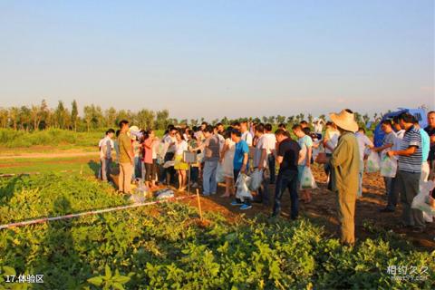 西安沣东现代都市农业博览园旅游攻略 之 体验区