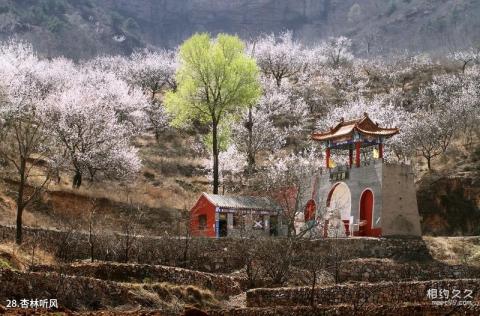 平山佛光山生态风景区旅游攻略 之 杏林听风 平山佛光山生态风景区旅游攻略 之 杏林听风