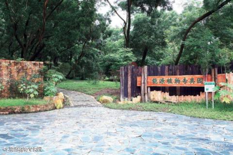 中科院华南植物园旅游攻略 之 能源植物专类园