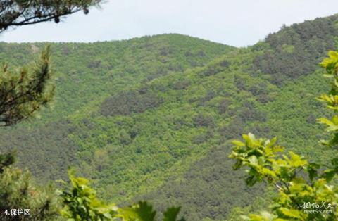 吉林天佛指山国家级自然保护区旅游攻略 之 保护区 吉林天佛指山国家级自然保护区旅游攻略 之 保护区