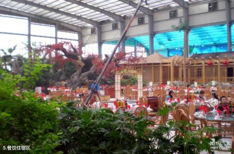 武城金水湾生态园旅游攻略 之 餐饮住宿区