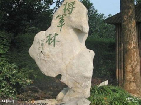 宁波滕头生态旅游区旅游攻略 之 将军林 宁波滕头生态旅游区旅游攻略 之 将军林
