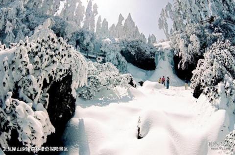 洪雅瓦屋山森林公园旅游攻略 之 瓦屋山原始森林猎奇探险景区