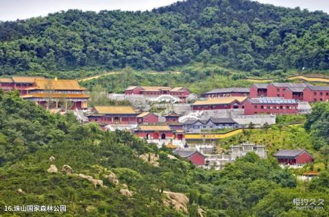 山东黄岛旅游攻略 之 珠山国家森林公园