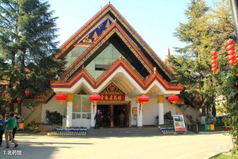 昆明七彩云南景区旅游攻略 之 名药馆 昆明七彩云南景区旅游攻略 之 名药馆
