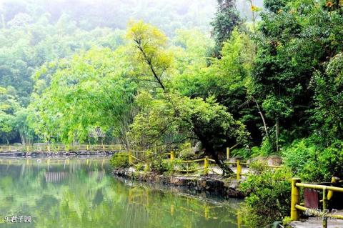 肇庆广宁宝锭山旅游景区旅游攻略 之 君子园 肇庆广宁宝锭山旅游景区旅游攻略 之 君子园