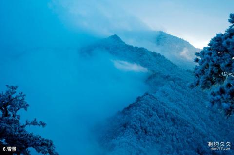 河南小秦岭国家级自然保护区旅游攻略 之 雪景