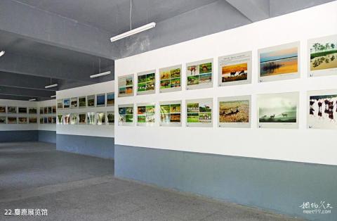 江苏大丰麋鹿自然保护区旅游攻略 之 麋鹿展览馆