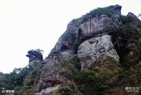 福州姬岩风景名胜区旅游攻略 之 骆驼峰