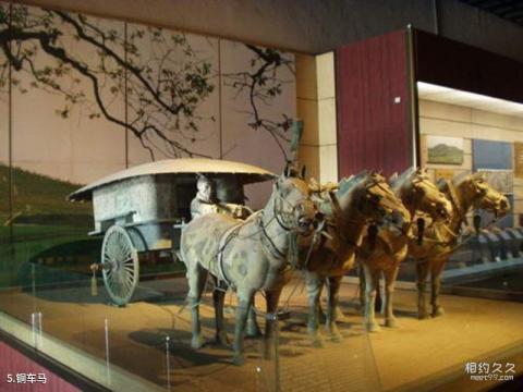 西安秦始皇兵马俑博物馆旅游攻略 之 铜车马