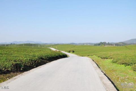遵义凤冈茶海之心景区旅游攻略 之 景区 遵义凤冈茶海之心景区旅游攻略 之 景区
