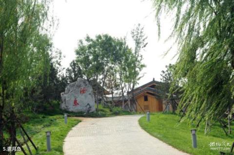 唐山南湖景区旅游攻略 之 邀月岛