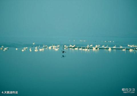 荣成天鹅湖生态旅游区旅游攻略 之 天鹅湖传说 荣成天鹅湖生态旅游区旅游攻略 之 天鹅湖传说
