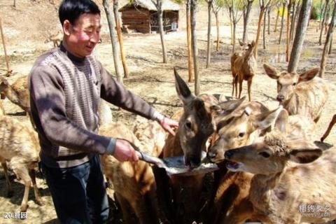 大连斑海豹国家级自然保护区旅游攻略 大连斑海豹国家级自然保护区旅游攻略