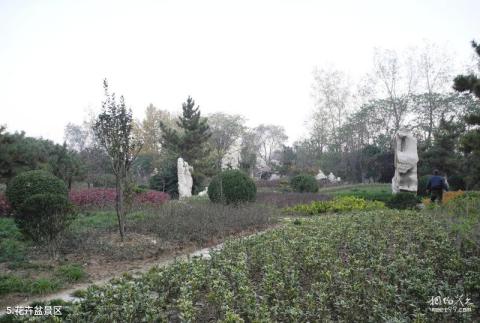 临沂人民公园旅游攻略 之 花卉盆景区