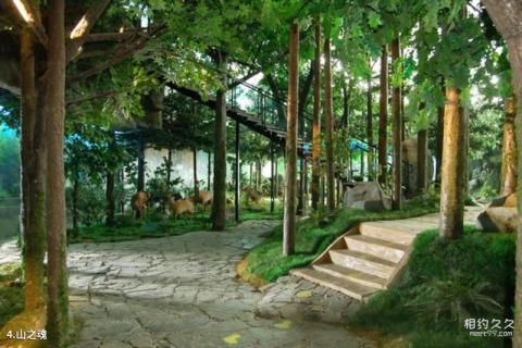 吉林省自然博物馆旅游攻略 之 山之魂 吉林省自然博物馆旅游攻略 之 山之魂