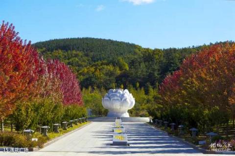 大连横山北普陀主题文化公园旅游攻略 之 莲花广场