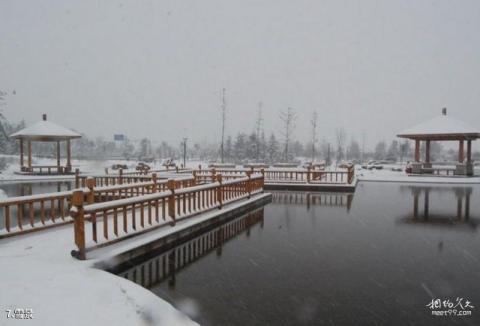 栾城樱花公园旅游攻略 之 雪景