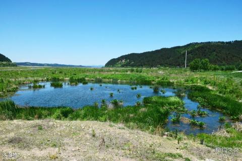 抚顺社河河口湿地旅游攻略 之 湿地 抚顺社河河口湿地旅游攻略 之 湿地