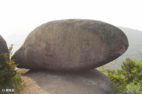 乐清白龙山旅游攻略 之 鲤鱼岩