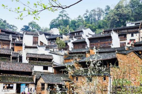 江西婺源风景区旅游攻略 之 篁岭 江西婺源风景区旅游攻略 之 篁岭