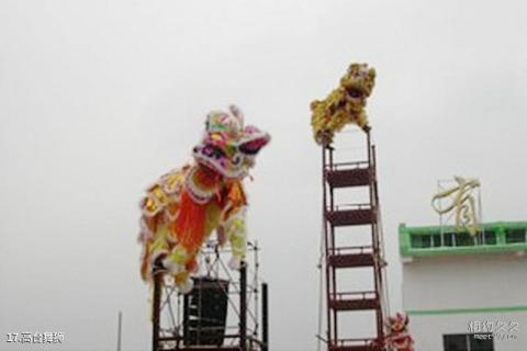 遵义凤冈茶海之心景区旅游攻略 之 高台舞狮 遵义凤冈茶海之心景区旅游攻略 之 高台舞狮
