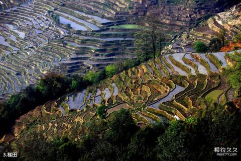 红河撒玛坝梯田旅游攻略 之 梯田