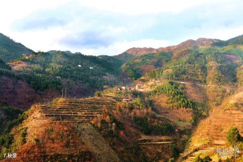 广西岑王老山国家级自然保护区旅游攻略 之 秋景