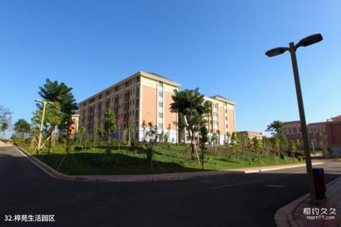 云南大学校园风光 之 梓苑生活园区