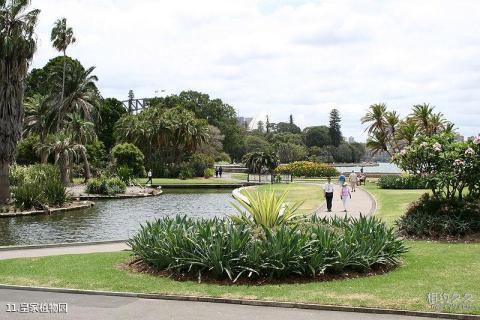 澳大利亚悉尼旅游攻略 之 皇家植物园