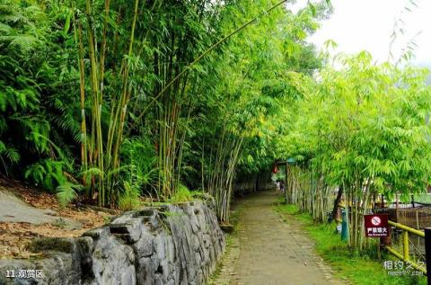 肇庆广宁宝锭山旅游景区旅游攻略 之 观赏区
