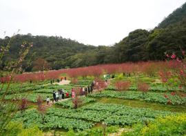 游记|石门国家森林公园