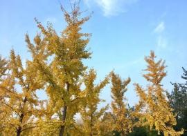 [游记分享] 山 川 湖 海 沙 漠 平 原——西北行（完）