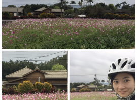 骑行台湾·第八天，瑞穗→太鲁阁 (90.6km)