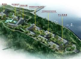 丽江是温柔，是浪漫，西双版纳就是一眼万年