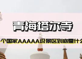 【塔尔寺】中国西北地区藏传佛教的活动中心