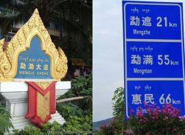 游记|西双版纳与热带雨林
